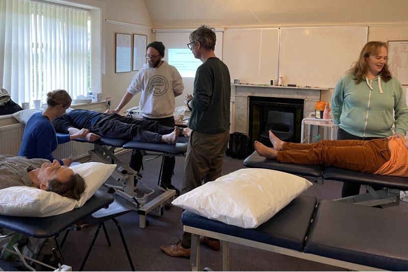 A group of Acupuncturists taking part in a pulses workshop with Tony Todd in a classroom.