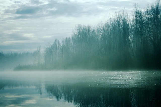 a Misty lake with trees in the background