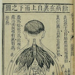 An old Japanese acupuncture illlustration showing a person's back and internal organs