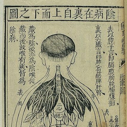An old Japanese acupuncture illlustration showing a person's back and internal organs
