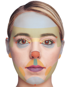 a woman's face divided up into zones