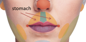 a close up of a lady's face focusing on nose mouth and chin. arrows point to the areas between the nose and the mouth above the top lip on either side. These are the stomach zones